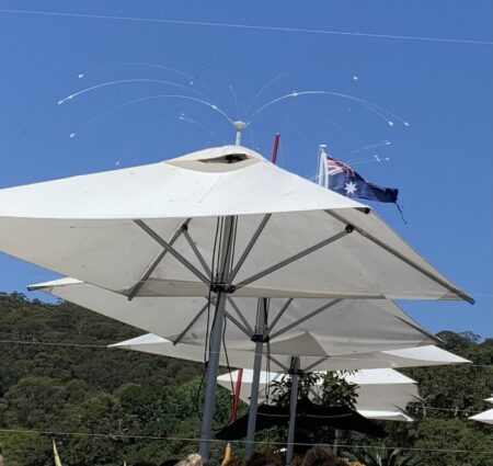 Bird Spider on Shade umbrella