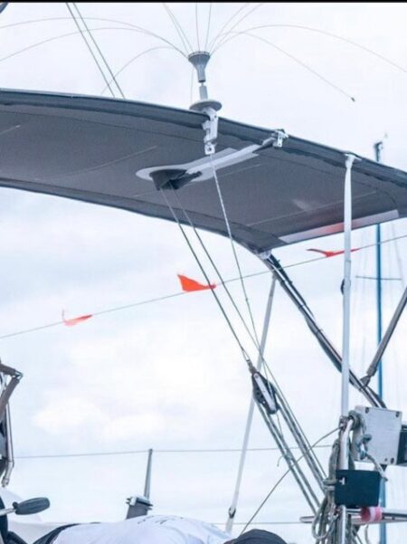 Bird Spider on Bimini Bird Spider on Bimini with rail mount