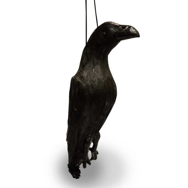 Visual Scare Feather Crow – Lifelike Dead Crow With Real Feathers-78