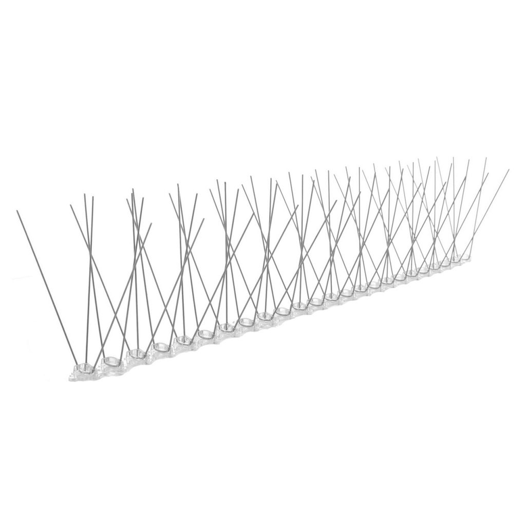 Buy Bird Spikes and Guard Your Properties from Pest Birds Bird