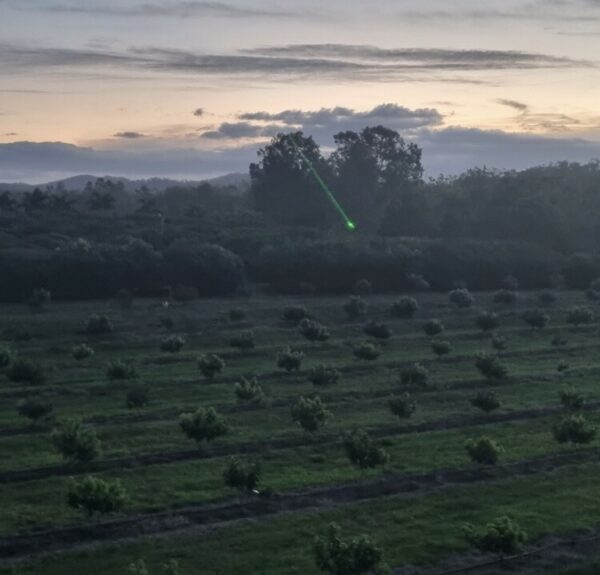 Hawk laser on in field