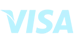 Visa Credit card logo
