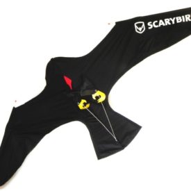 Sacrybird main kite