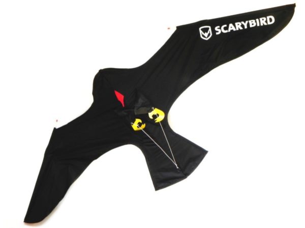 Sacrybird main kite