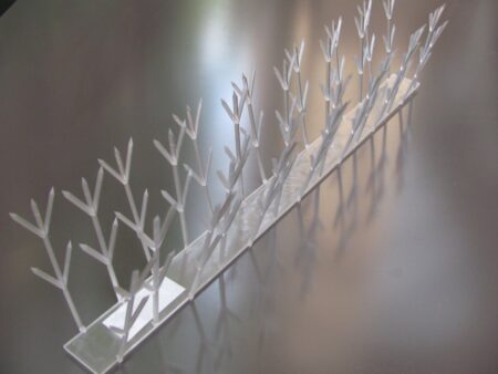 3_Bird Spikes (3) Picture of Thorny Devil Poly Spikes