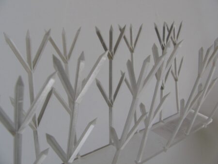 5_Bird Spikes close (3) Thorny Devil Polycarbonate Spikes