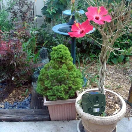 SOLAR YARD GUARD - solar animal repeller