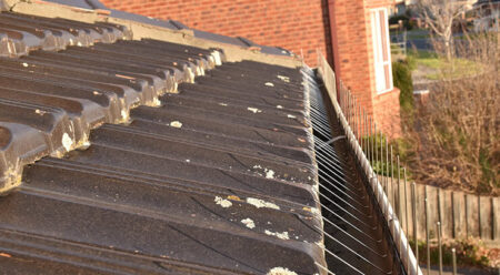 Gutter spike on gutter