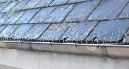 Gutter spike on gutter